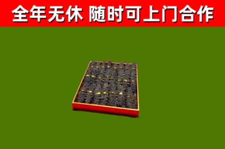 广灵回收海参